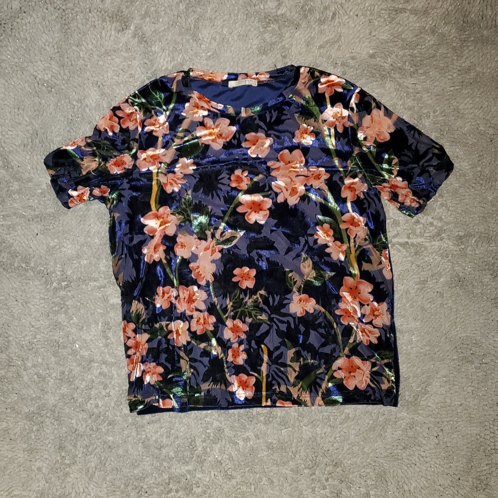 Zara velvet burnout shirt